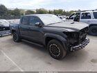 2024 Toyota Tacoma Trd Sport Gray vin: 3TMLB5JN7RM032291