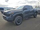 2024 Toyota Tacoma Trd Off-road Gray vin: 3TMLB5JN9RM082044