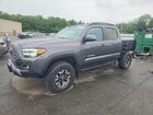 2023 Toyota Tacoma Trd Off-road Gray vin: 3TYCZ5AN4PT143149
