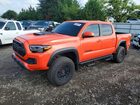 2023 Toyota Tacoma Trd Pro Orange vin: 3TYCZ5AN7PT129388