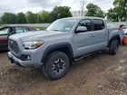 2021 Toyota Tacoma Trd Off-road Gray vin: 3TYCZ5AN8MT012396