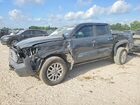 2024 Toyota Tacoma Limited Black vin: 3TYLB5JN0RT055304