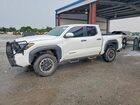 2024 Toyota Tacoma Trd Off-road White vin: 3TYLB5JN1RT013045