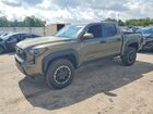 2025 Toyota Tacoma Trd Off-road Hv Gray vin: 3TYLC5LN2ST038391