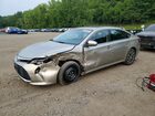 2016 Toyota Avalon Xle Plus Beige vin: 4T1BK1EB9GU200957