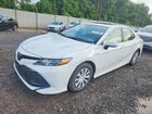 2020 Toyota Camry Le White vin: 4T1E31AK7LU521406