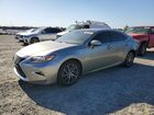 2017 Lexus Es 350 Gold vin: 58ABK1GG6HU040653