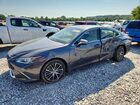 2024 Lexus Es 300h Base Gray vin: 58ADA1C13RU047753