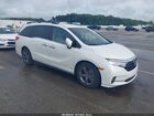 2021 Honda Odyssey Ex White vin: 5FNRL6H55MB013688