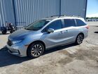 2024 Honda Odyssey Exl Gray vin: 5FNRL6H69RB058259