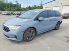 2024 Honda Odyssey Elite Blue vin: 5FNRL6H93RB042245