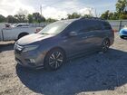 2019 Honda Odyssey Elite Gray vin: 5FNRL6H98KB055286