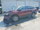 2020 Honda Pilot Exl Бордовый vin: 5FNYF6H49LB013878