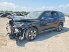 2023 Honda Pilot Exl Black vin: 5FNYG2H53PB009359