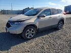 2017 Honda Cr-v Exl Tan vin: 5J6RW2H87HL072345