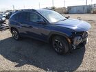 2025 Hyundai Tucson Sel Синий vin: 5NMJBCDEXSH579717