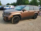2024 Hyundai Santa Fe Calligraphy Brown vin: 5NMP5DGL2RH061192