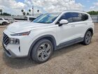 2023 Hyundai Santa Fe Sel White vin: 5NMS24AJ1PH649026