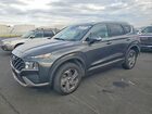 2023 Hyundai Santa Fe Sel Gray vin: 5NMS2DAJ6PH611291
