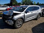 2020 Hyundai Santa Fe Sel Silver vin: 5NMS3CAD1LH281636