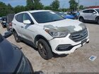 2017 Hyundai Santa Fe Sport 2.4l Белый vin: 5NMZTDLB1HH000135