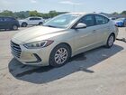 5NPD74LF1HH162562