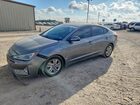 5NPD84LF1KH435116
