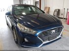 2019 Hyundai Sonata Eco Purple vin: 5NPE24AA8KH774792
