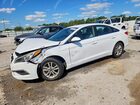 2016 Hyundai Sonata Se White vin: 5NPE24AF2GH264098