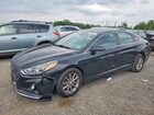 5NPE24AF4KH737038