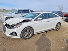 2019 Hyundai Sonata Sport White vin: 5NPE34AF1KH817717