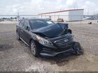 2017 Hyundai Sonata Sport Black vin: 5NPE34AF2HH582575