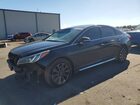 2017 Hyundai Sonata Sport Black vin: 5NPE34AF3HH526838