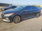2017 Hyundai Sonata Sport Black vin: 5NPE34AF3HH555370