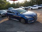 2017 Hyundai Sonata Sport Blue vin: 5NPE34AF6HH524579