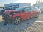 2019 Hyundai Sonata Sport Red vin: 5NPE34AF7KH772461