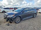 2017 Hyundai Sonata Limited Black vin: 5NPE34AF9HH456634