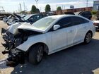 2017 Hyundai Sonata Sport White vin: 5NPE34AF9HH554224