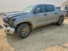 2020 Toyota Tundra Sr5 Gray vin: 5TFDY5F11LX883156