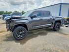 2024 Toyota Tundra Platinum Gray vin: 5TFNA5DB3RX184785