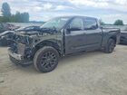 2023 Toyota Tundra Platinum Gray vin: 5TFNA5EC8PX013969