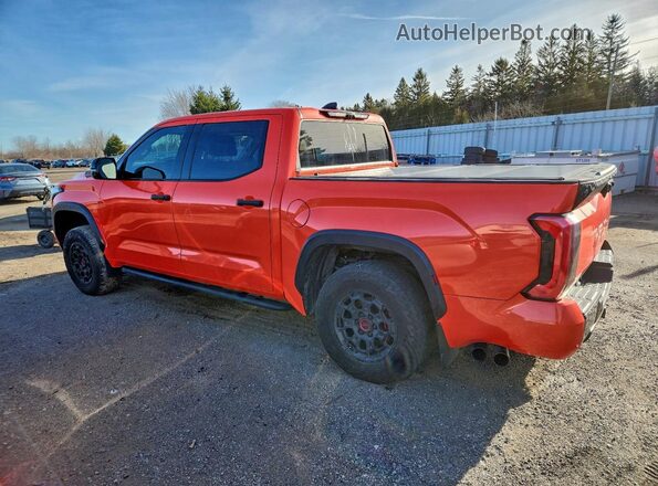 2023 TOYOTA TUNDRA TRD PRO
