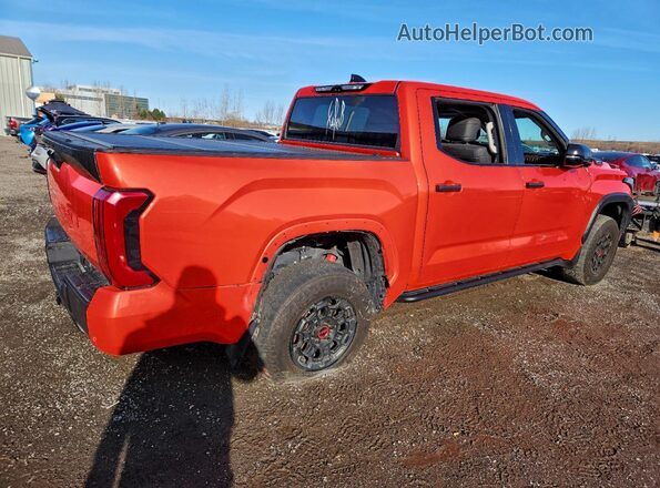 2023 TOYOTA TUNDRA TRD PRO