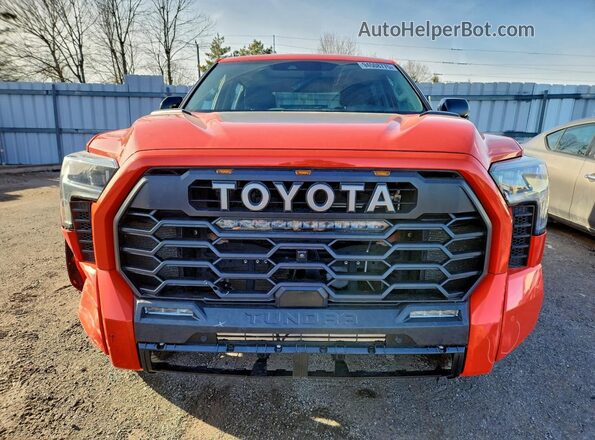 2023 TOYOTA TUNDRA TRD PRO