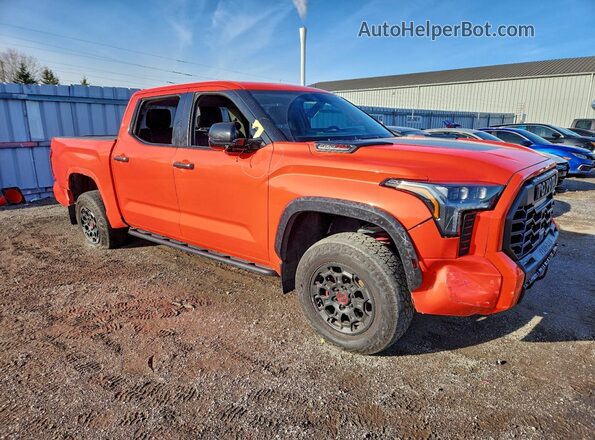 2023 TOYOTA TUNDRA TRD PRO