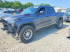 2024 Toyota Tundra Trd Pro Hv Gray vin: 5TFPC5DB9RX084967
