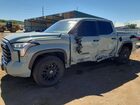 2024 Toyota Tundra Limited Gray vin: 5TFWA5DB1RX191142