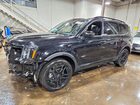 2024 Kia Telluride Ex X-line Black vin: 5XYP3DGC4RG547471