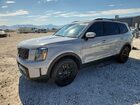 2024 Kia Telluride Sx X-pro Gray vin: 5XYP5DGC4RG479876