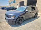2025 Kia Telluride Sx-prestige X-line Black vin: 5XYP5DGC4SG696396